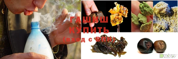 сатива Волоколамск