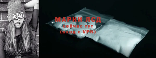 сатива Волоколамск