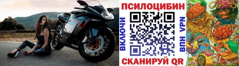 Купить где  Корсаков  Псилоцибиновые грибы GOLDEN TEACHER 